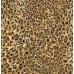 "Catnip" Ladies Leopard Print Baseball Cap Hat Cheetah Spot Animal Skin Tan Gold  eb-94352412